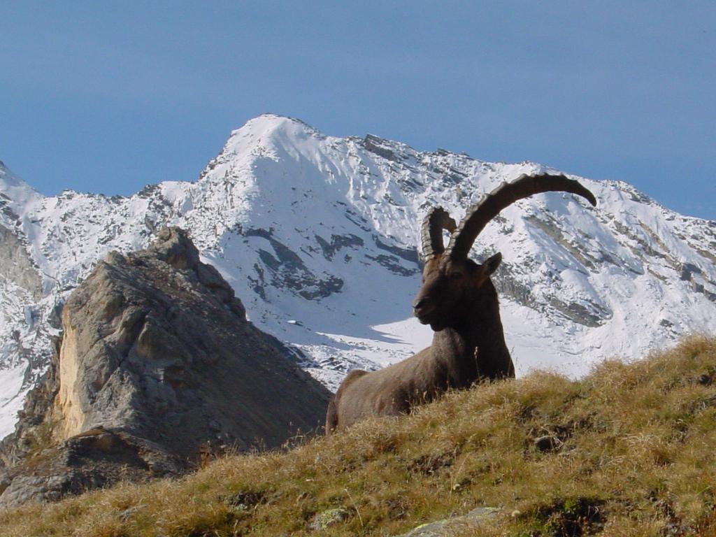 Hotel De La Vanoise พราโลญ็อง-ลา-วานวซ ภายนอก รูปภาพ